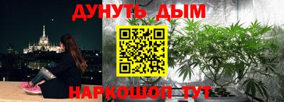 PSILOCYBIN Кумертау