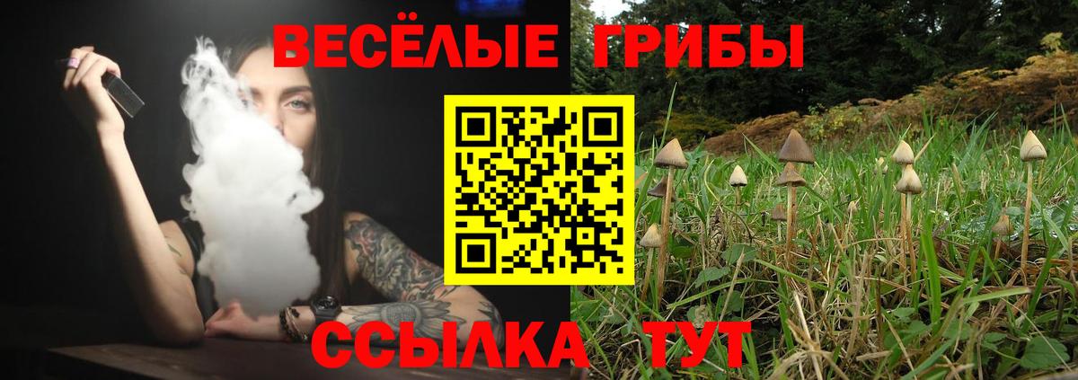 Галлюциногенные грибы ЛСД Кириши