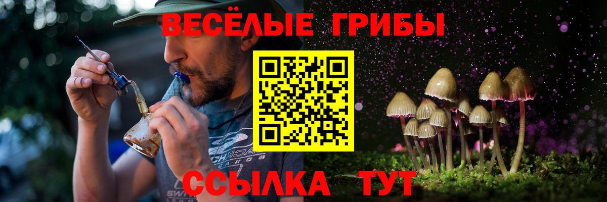 хочу наркоту  Вход с VPN  Кириши  Галлюциногенные грибы Magic Shrooms 
